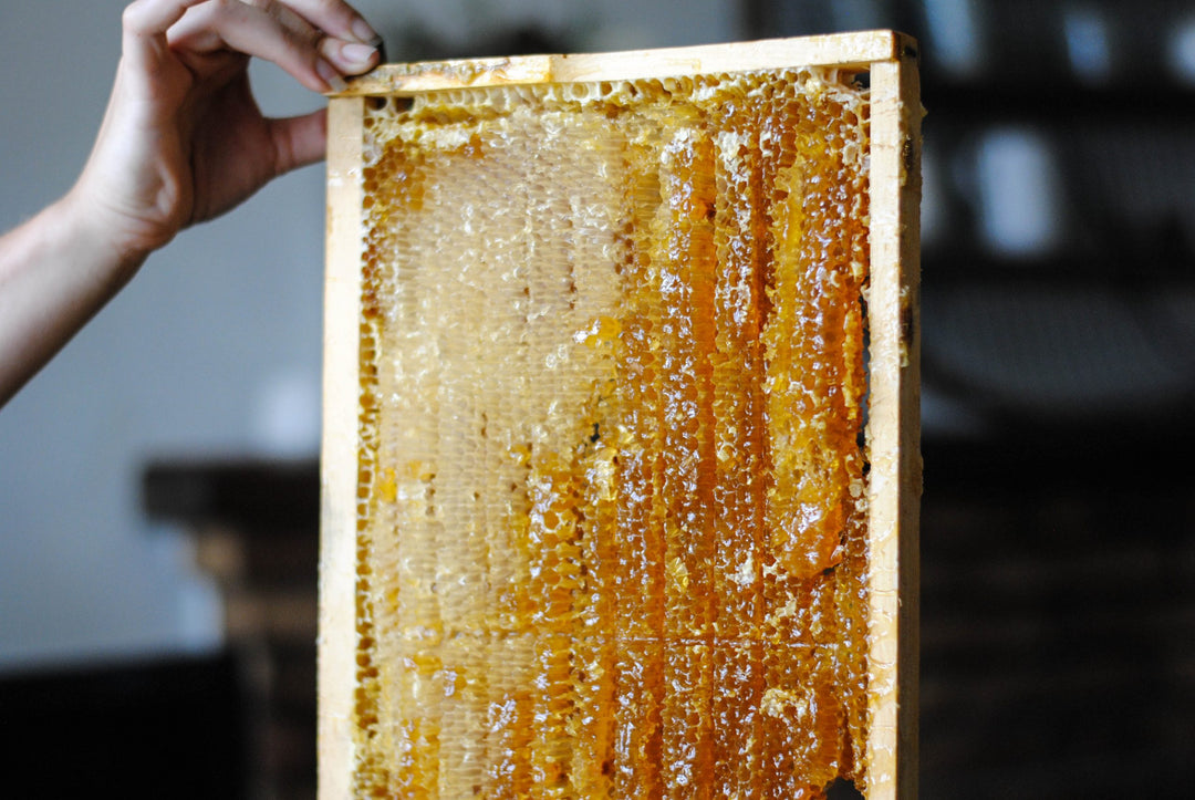 HEALTHY AUSTRALIAN HONEY HIVES